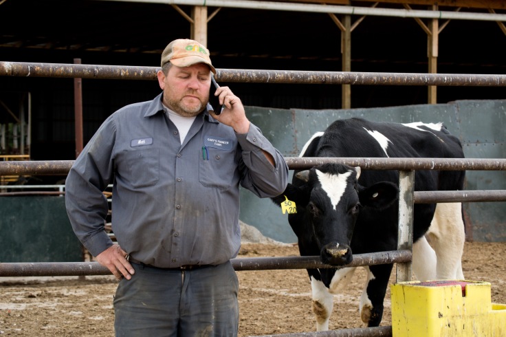 Matt Carey makes a call in regards to a part for the water run off they are fixing by the feedlot, on September 27, 2016. 